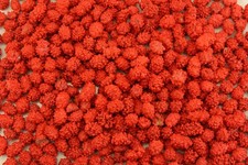 Planet Sweets French Burnt Peanuts Red Candy Coated Nuts - 1.5 Pounds