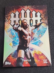 トリプルH Triple H 2024 Select WWE #3 Color Wheel /(SSP) Price Guide