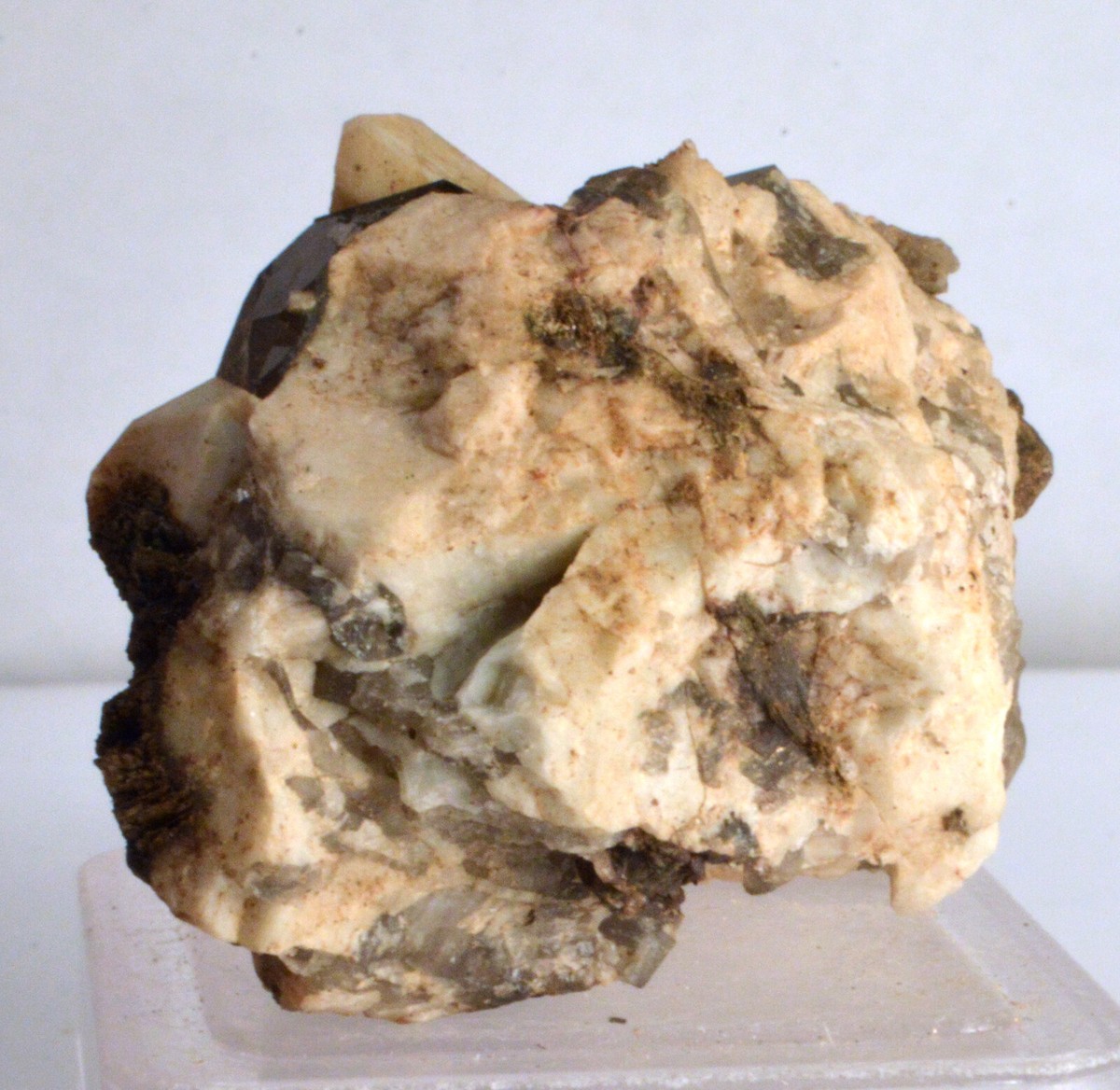 s-l1200.jpg s-l1200.jpg