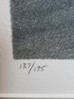 Picture 5 of 20