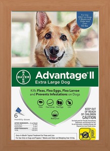 advantage extra large dog