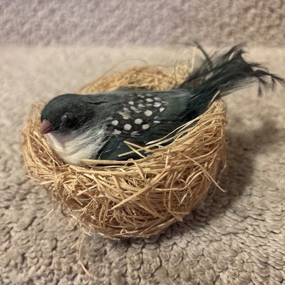 Vintage Bird In Nest