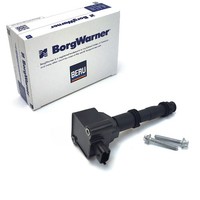 Beru ZS178 ZüNdspüLe FüR Porsche 911 996 997 Boxster Cayman 986 987 99760210404