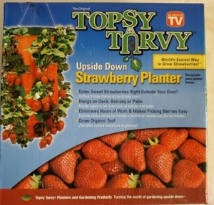 Topsy turvy strawberry (740275000984)