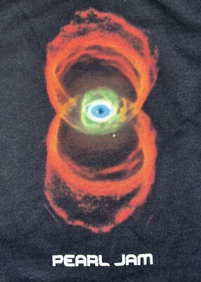 Pearl Jam Vintage T Shirt 2000 Binaural USA Tour LP Cover Grunge