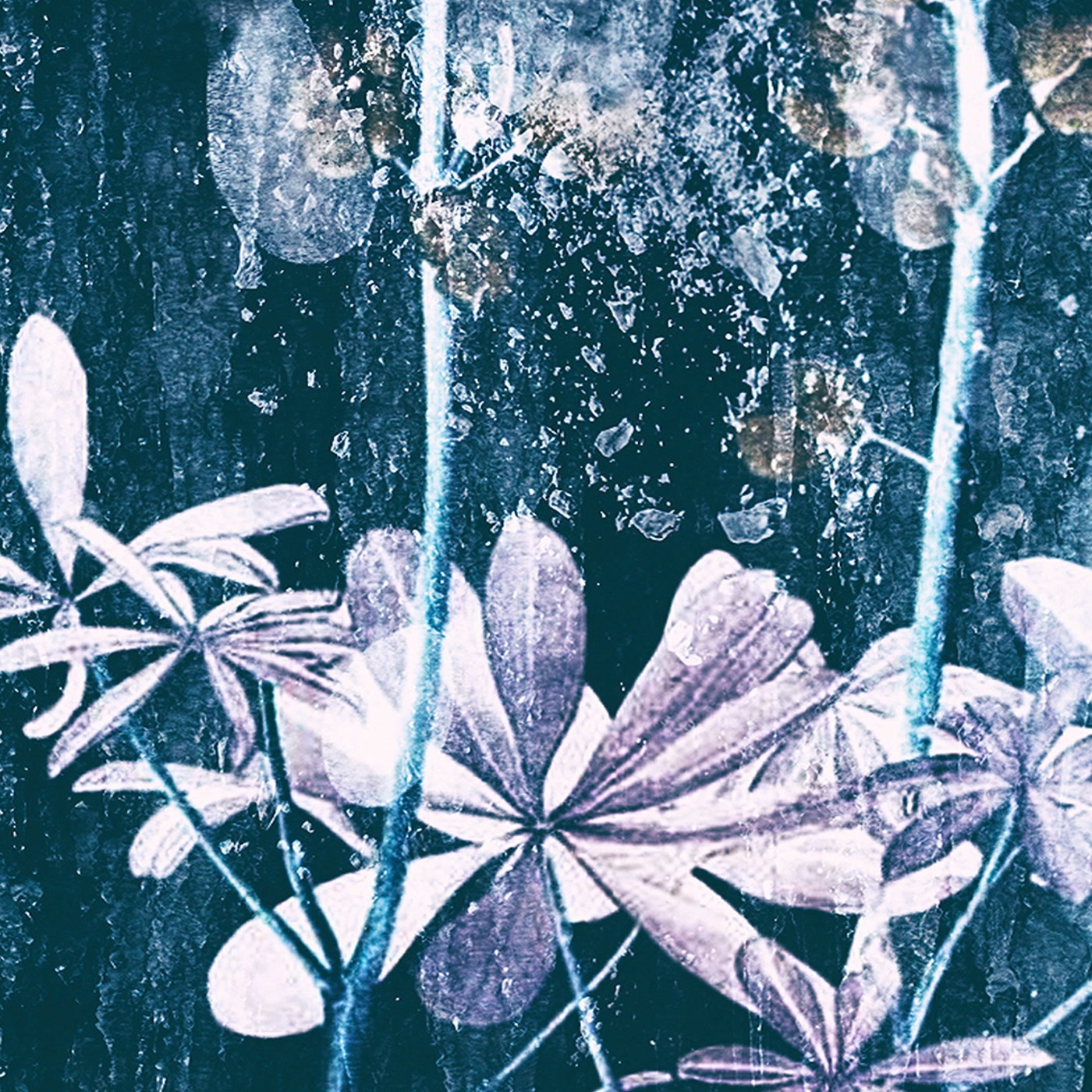 Pan Thorarensen Ljóstillífun LP Vinyl UKM128JP Nuovo