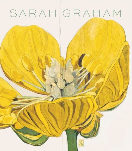 Sarah Graham, Hardcover by Guilding, Ruth, Brand New, Free shipping in the US - Afbeelding 1 van 1