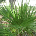 Picture 4 of 8