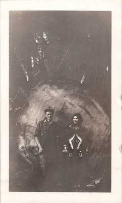 Vintage 1930s Photo Couple Giant Redwood Sequoia Tree Stump Logging