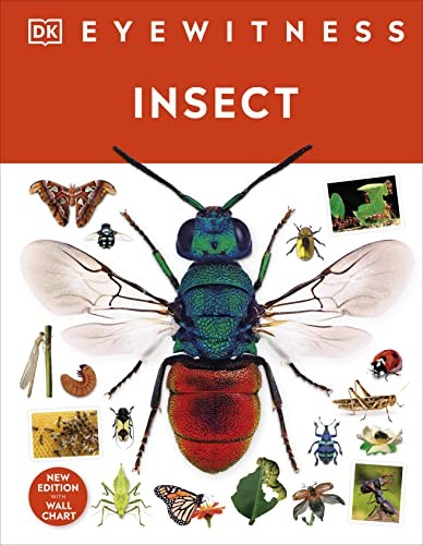Insect by DK (Hardback Book) - Image 8