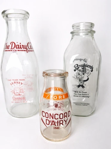 Vintage Milk Bottle Lot 3 Glass Dairy Advertising Jersey Creamery Store Bottles