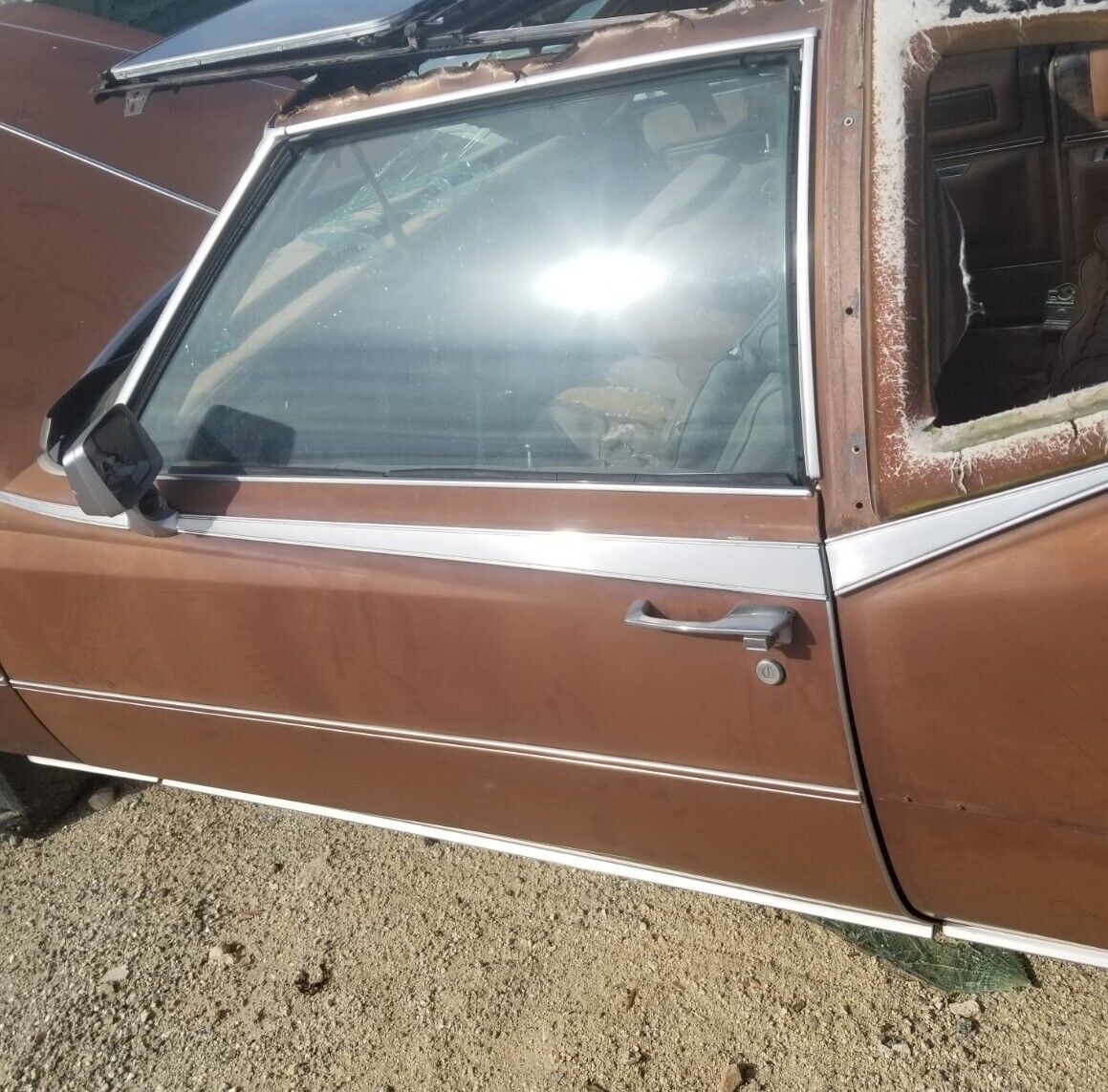 Picture 1 of 1