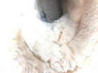 Bild 9 von 12
