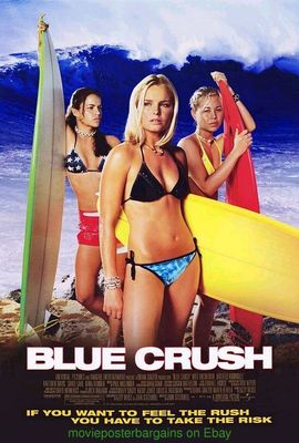 5 SURFING MOVIE POSTER 's ALL Rare Original One Sheets & Australian Daybills
