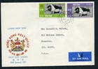 Hong Kong FDC 1971 Lunar new year