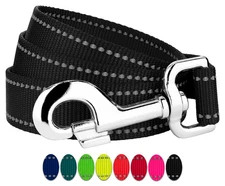 Country Brook Petz® 1 Inch Reflective Nylon Dog Leash