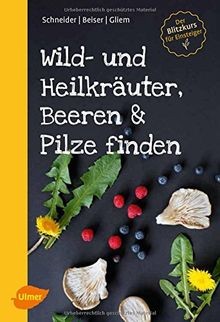 Wild- und Heilkräuter, Beeren und Pilze finden: Der Blit... | Buch | Zustand gut