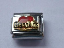 SILVER ITALIAN CHARM I LOVE MY GRANDKIDS fits all design 9mm bracelet AJ4