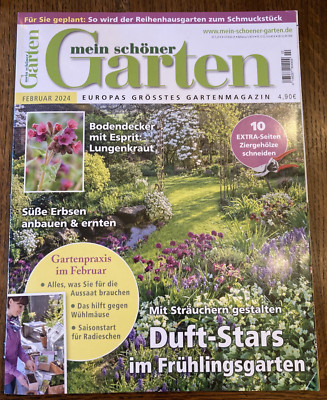 Mein schöner Garten Februar 2024 Bodendecker Reihenhaus Erbse Duft-Stars Aussaat