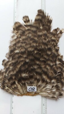  HEN SOFT SADDLE PATCH  GRIZZLY  Photo  # 08  IT What You Get  Wet ,Nymphs,  