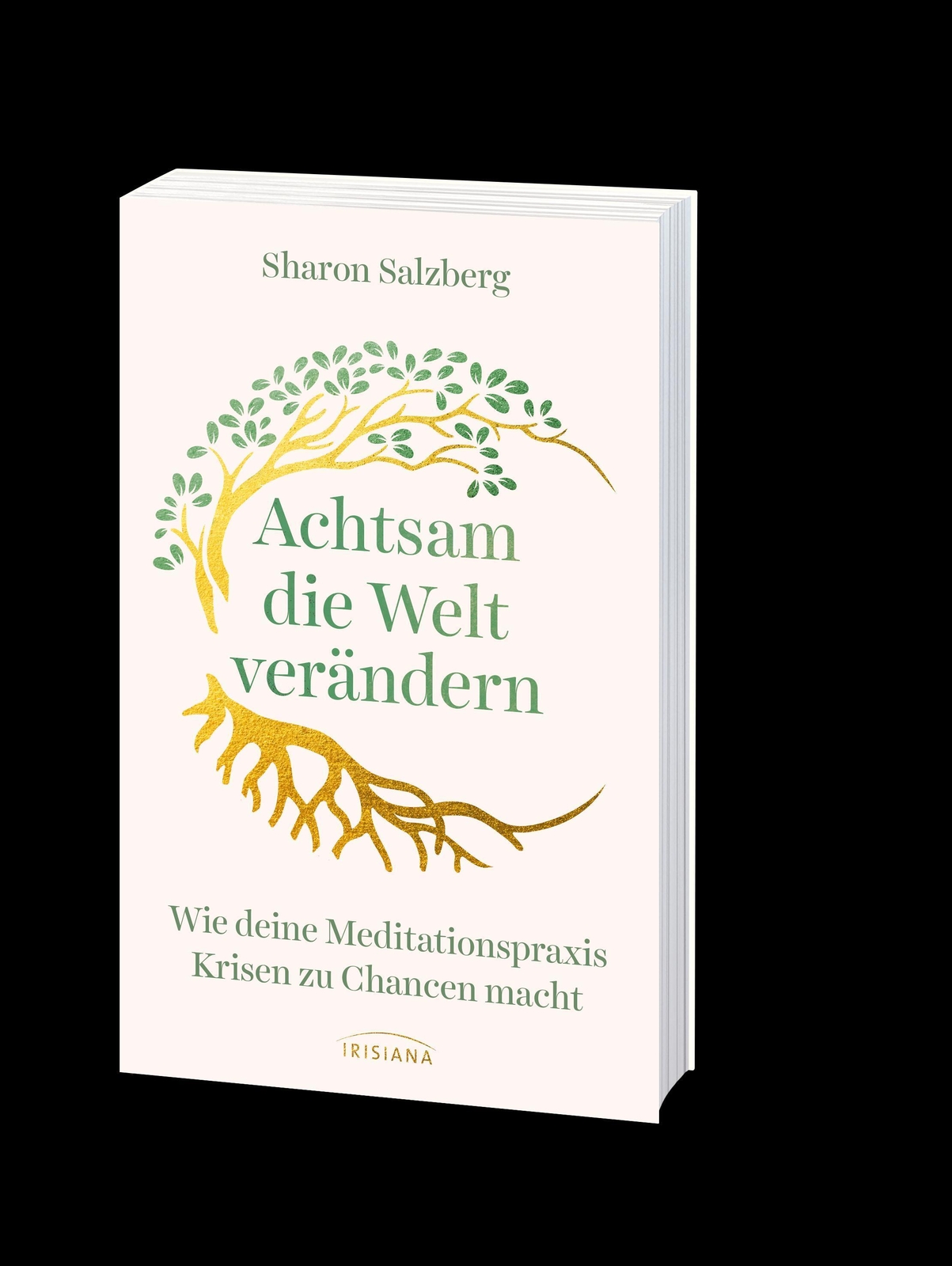 Thumbnail - Achtsam Die Welt Verändern | Wie Deine Meditationspraxis Krisen Zu