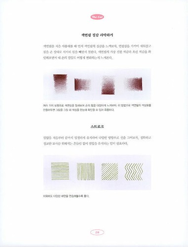 The Cat - BB MOM's Colored Pencil Miniature Drawing Korean Guide 더 캣-색연필 세밀화 드로잉 - Bild 12 von 12