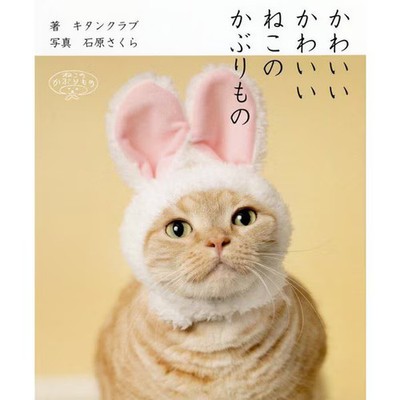 Cute Cat Headgear Hardcover Cat Costume Book Excellent For Ages 14+