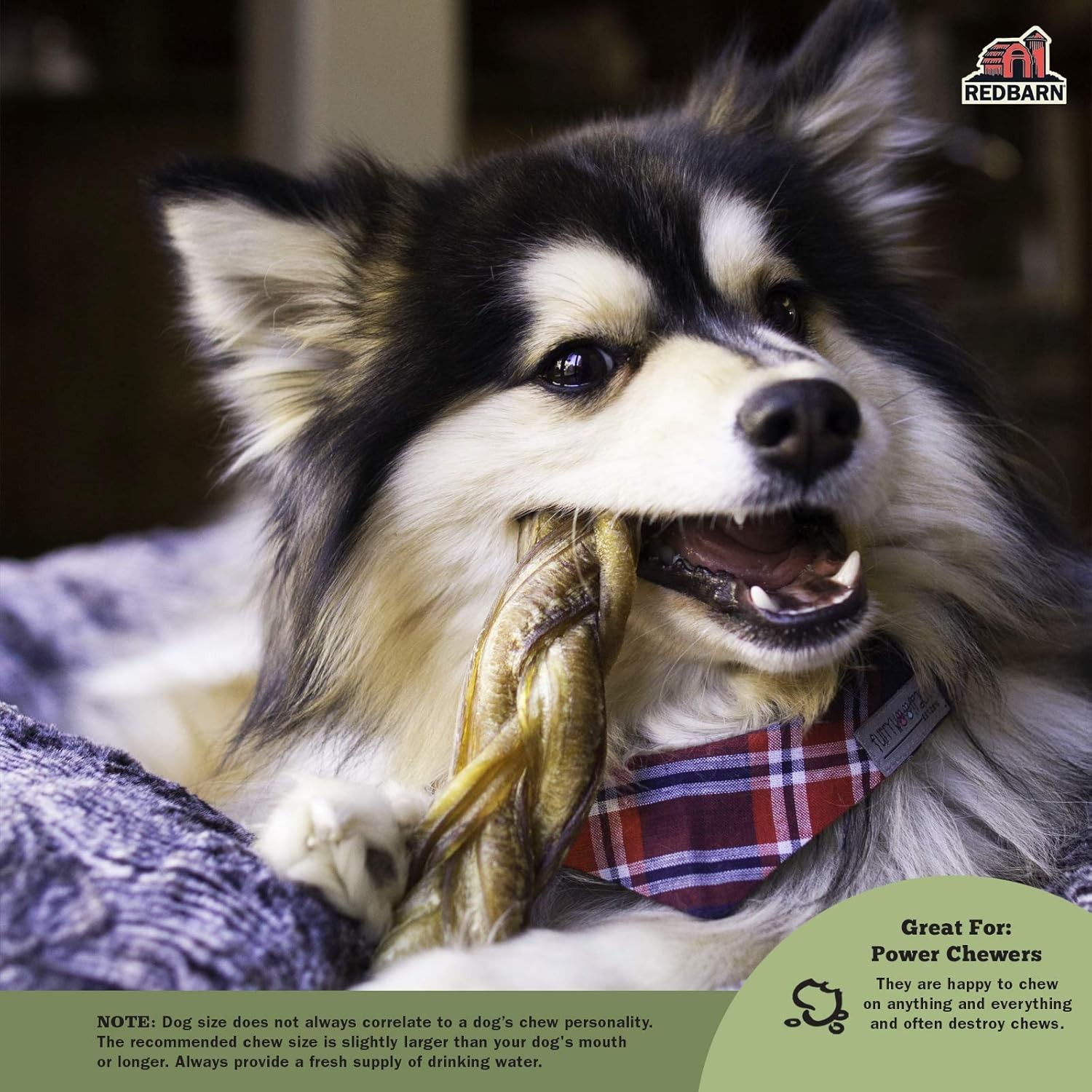 (Case of 30) Redbarn Braided Bully Sticks 5" Dog Treats, 5-in chew
