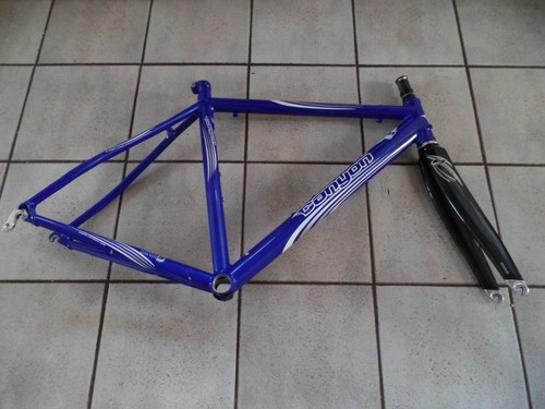 Rennrad Rahmen 54 cm