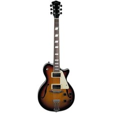Johnson Jh-100-s Delta Rose Archtop Hollow Body Electric Guitar, Sunburst