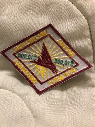 VAQ-132 PARCHE PER DIEM PARCHE AZUL MARINO - GA18-1 - Imagen 3 de 3