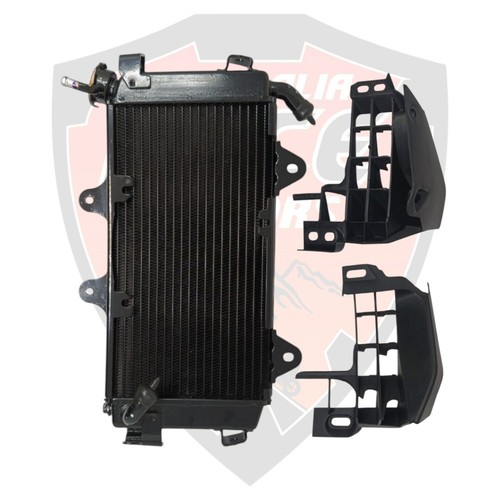 KTM Radiator with Cap & side Mask Fits KTM Duke 390 2017 2018 2019 2020 KTM - Picture 2 of 7