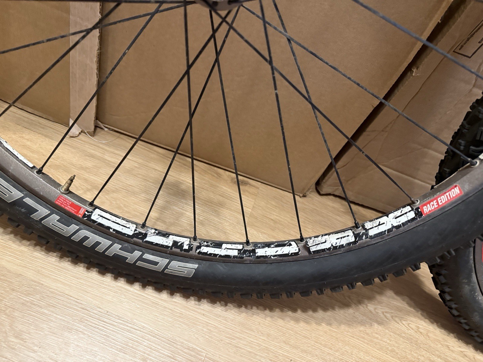DT Swiss XR1450 Centerlock RACE Wheel Set 26”, 9x100 F/10x135 R ...