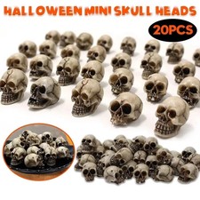 20pcs Mini Skulls Decor Skeleton Head Crafts Mini Skulls Set Garden Decor