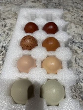 Eight Mixed Hatching Eggs-Chocolate Egger+black Copper Marian+ayam Cemani+easter