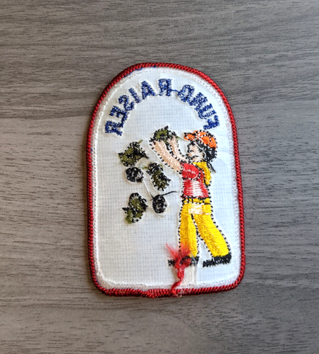 Fundraiser Patch Generic Boy Scouts of America BSA patches - Picture 2 of 4