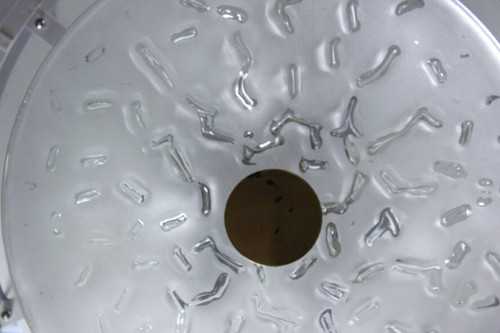 Impressive Doria Crystal Flushmount 48 Glass Tubes Ø Luxury Brass Giant Lamp - Picture 10 of 12