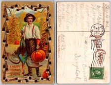 Young Farmer Holding Turkey Pumpkin Cornstalks Postcard
