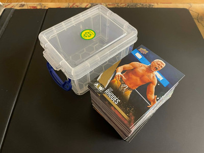 AEW 2021 Complete (100) Gold Set Upper Deck First Edition