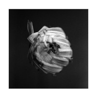 An Empire - 375 Media - (Lp / A)