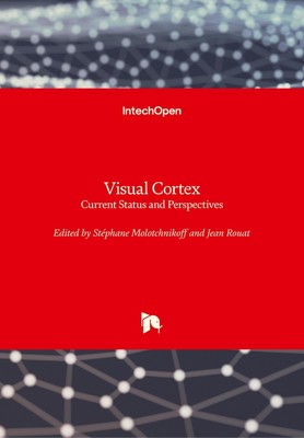 Visual Cortex Stephane Molotchnikoff