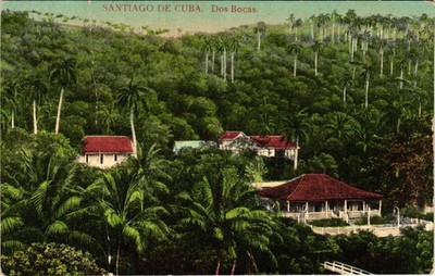 Santiago de Cuba Dos Bocas Vintage Postcard Tropical Landscape Palm Trees Ad