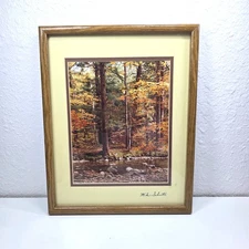 Mike Schuster Signed Framed Autumn Forest Landscape Art Print