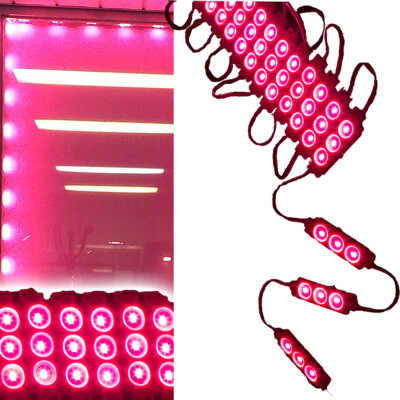 10ft LEDUPDATES Magenta Hot pink Storefront ambient 5630 LED LIGHT With UL Power