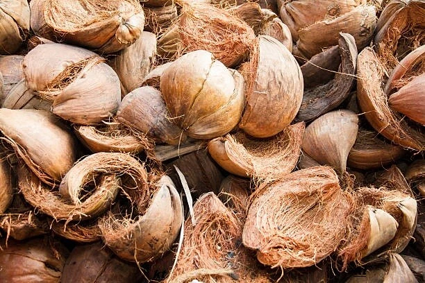 Coconut Husk chips 100% Natural clean Organic Fiber Coconut Coir Chips Pree Ship - Image 4 of 4