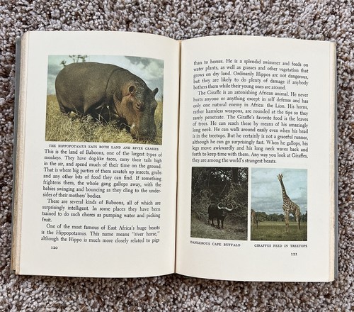 Best In Childrens Story Books Fairy Tales HC 1957 - Foto 6 di 11
