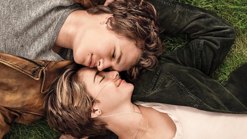 The Fault in Our Stars (Blu-ray/DVD,2014,2-Disc) Shailene Woodley,Not a Scratch! - Picture 10 of 24