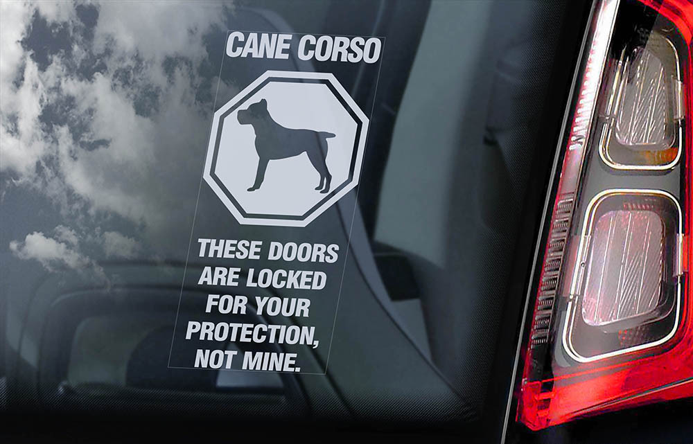 Cane Corso Dog Breed Car Sticker Decal - White Vinyl, Customizable Text, UK Made 5 thumbnail image