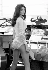 Pinup Girl Model 1970s Kenworth Semi Truck Big Rig Ol Blue 13x19 Photo Poster 53