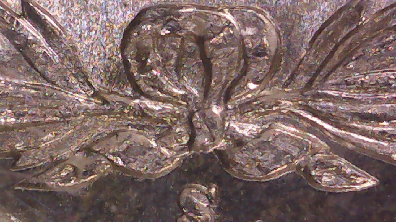 Picture 22 of 22